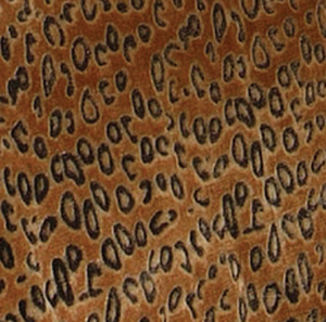 Cheetah Animal Print Bedding Plush Velvet Safari 3-Piece Comforter Set 