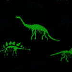 Glow in the Dark Throw Blanket Dinosaurs Kids Super Soft Fun Gift 50" x 60" Grey